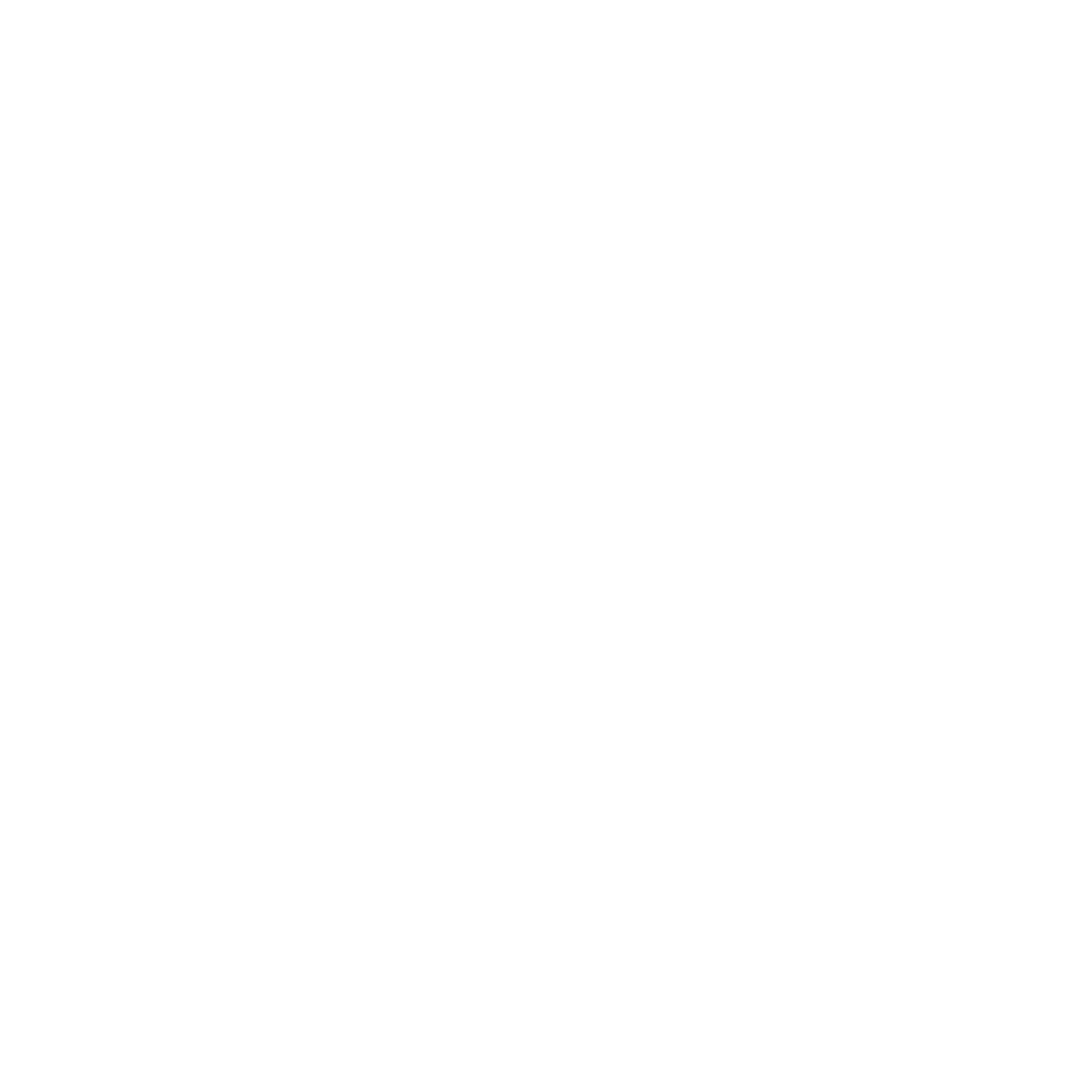 Valente e Souza Logo